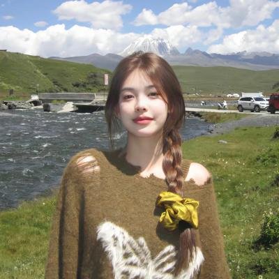 极主夫道 电影版