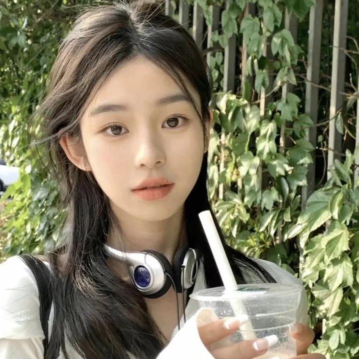 聪明的鸭子