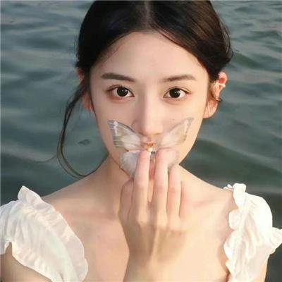 紫禁秘录